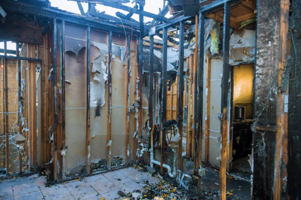 Professional Fire Damage Removal technician working in Pana, IL